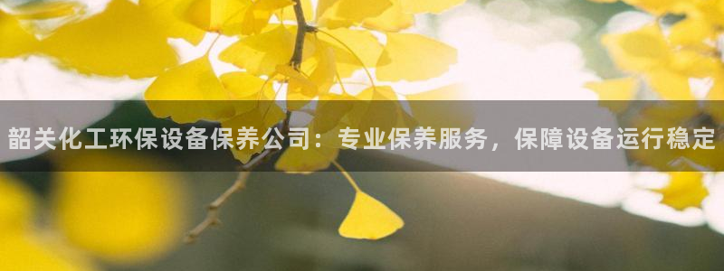 亿万手游官网首页：韶关化工环保设备保养公司：专业保养服务，保障设备运行稳定