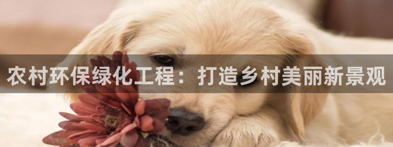 亿万先生换网址了吗：农村环保绿化工程：打造乡村美丽新景观