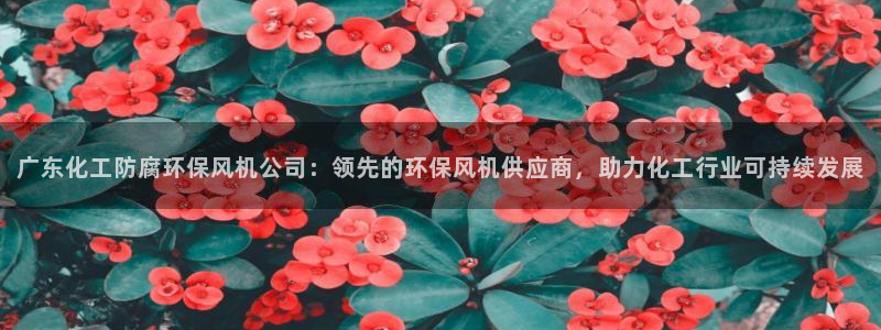 亿万剧情介绍：广东化工防腐环保风机公司：领先的环保风机供应商，助力化工行业可持续发展