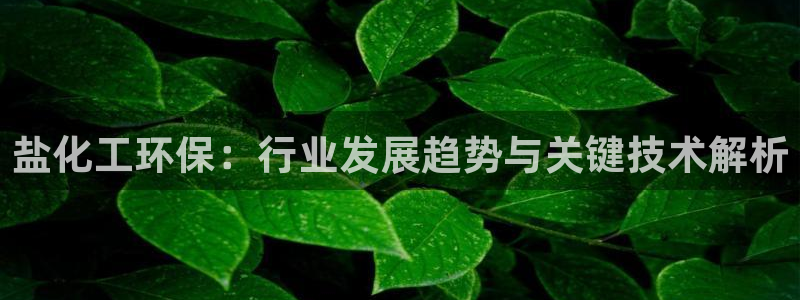 亿万先生MR - 亿万先生mr008cc