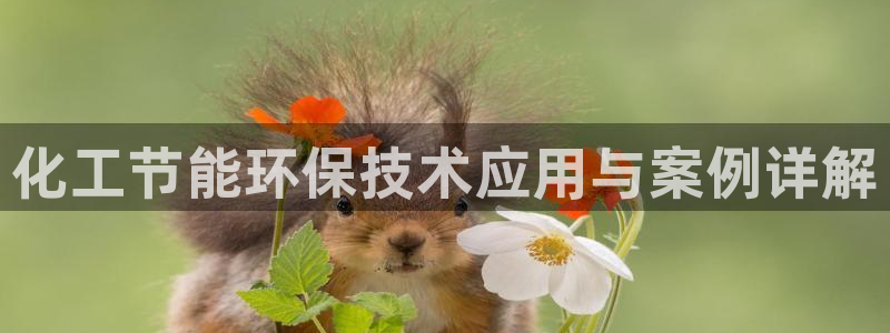 亿万先生mr01官网 - 亿万先生手机版入：化工节能环保技术应用与案例详解