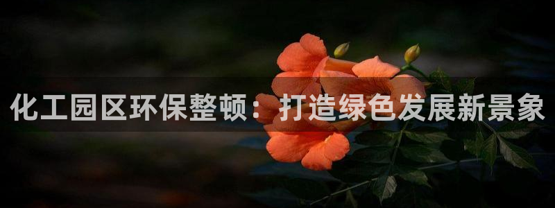 亿万先生是男是女：化工园区环保整顿：打造绿色发展新景象