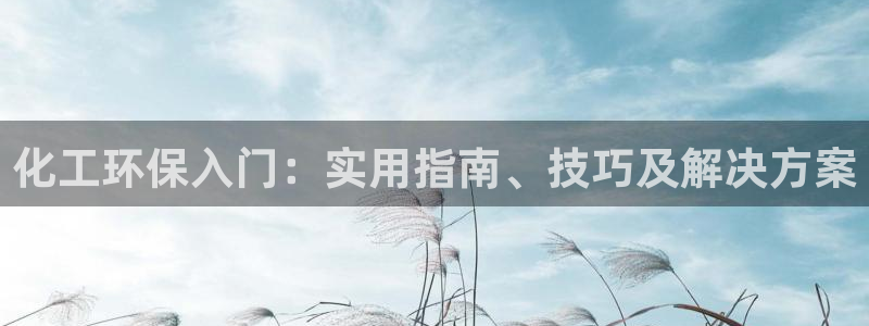 亿万先生mr：化工环保入门：实用指南、技巧及解决方案