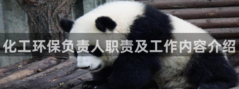 亿万千百十：化工环保负责人职责及工作内容介绍