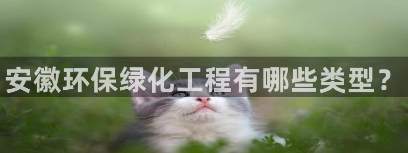 亿万先生手机客户端：安徽环保绿化工程有哪些类型？