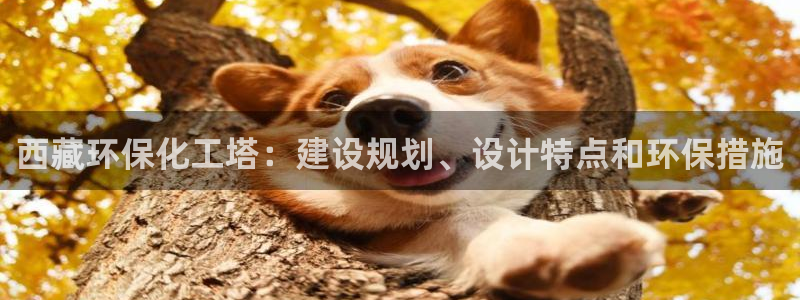 亿万先生 手机版下载：西藏环保化工塔：建设规划、设计特点和环保措施