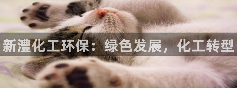 亿万啥意思：新澧化工环保：绿色发展，化工转型