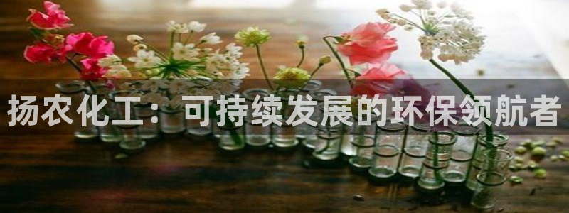 亿万第一季字幕：扬农化工：可持续发展的环保领航者