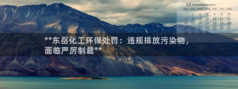 亿万网友在线实时为你解答：**东岳化工环保处罚：违规排放污染物，
面临严厉制裁**