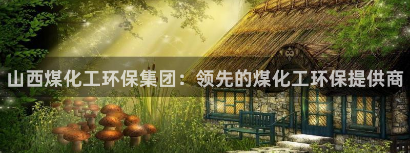 亿万网友在线解答：山西煤化工环保集团：领先的煤化工环保提供商