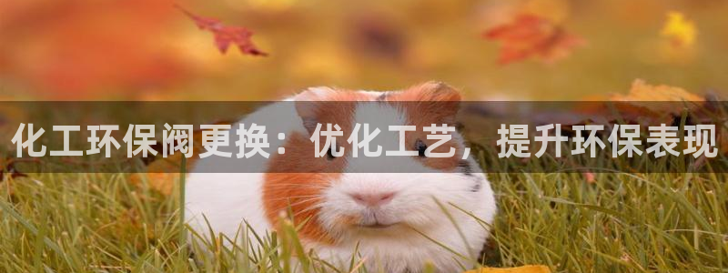 亿万先生007客服：化工环保阀更换：优化工艺，提升环保表现