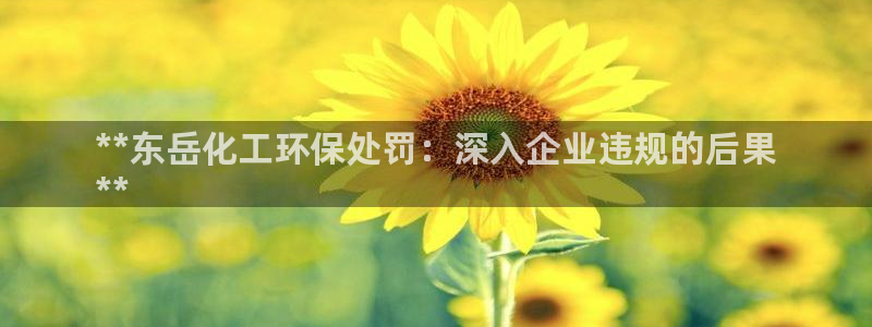 亿万集团有限公司：**东岳化工环保处罚：深入企业违规的后果
**