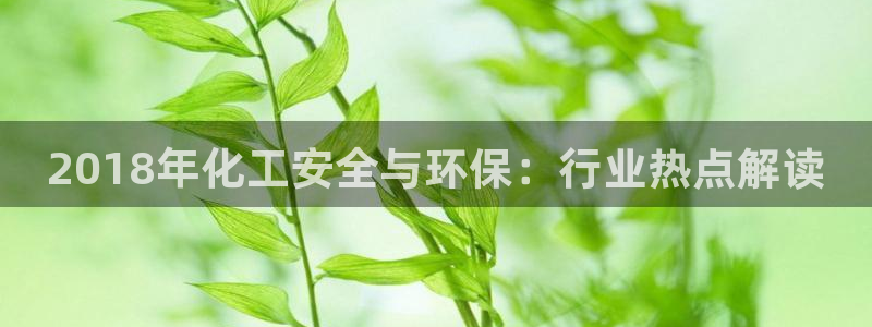 亿万先生 菲律宾：2018年化工安全与环保：行业热点解读