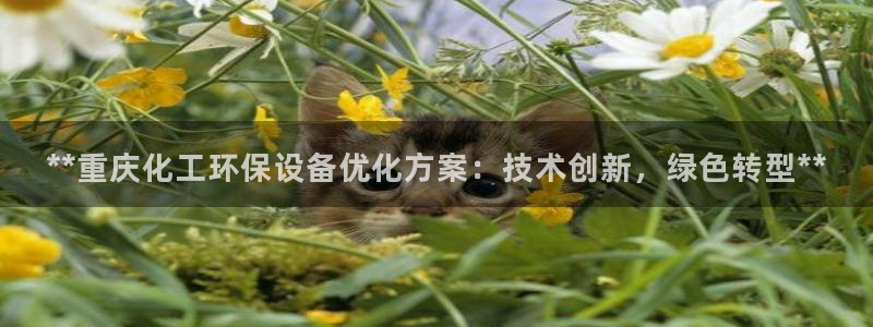 亿万剧情介绍：**重庆化工环保设备优化方案：技术创新，绿色转型**