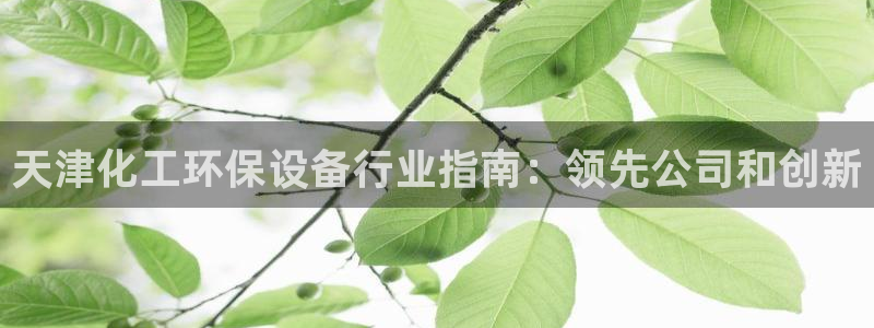 亿万先生客户端官网登录：天津化工环保设备行业指南：领先公司和创新