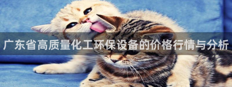 亿万万作者：广东省高质量化工环保设备的价格行情与分析