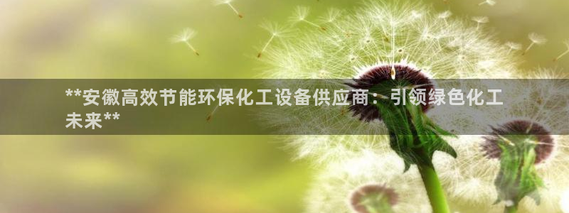 亿万先生客户端下载：**安徽高效节能环保化工设备供应商：引领绿色化工
未来**