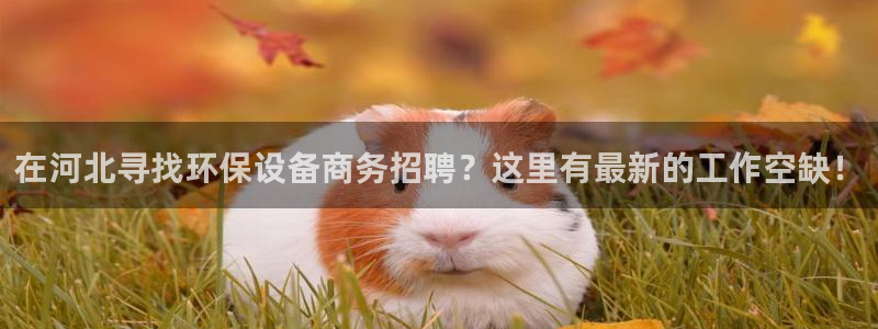 亿万先生情侣车有什么用：在河北寻找环保设备商务招聘？这里有最新的工作空缺！