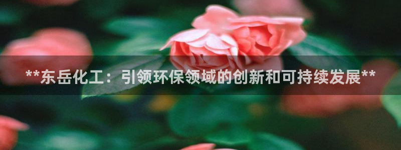 亿万讲什么：**东岳化工：引领环保领域的创新和可持续发展**