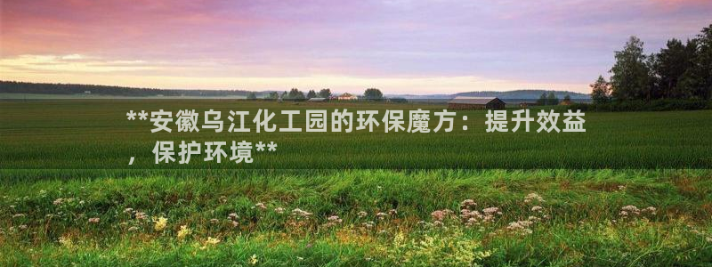亿万先生情侣车有什么用：**安徽乌江化工园的环保魔方：提升效益
，保护环境**