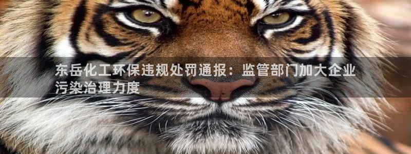 亿万先生官方网站下载手机版：东岳化工环保违规处罚通报：监管部门加大企业
污染治理力度
