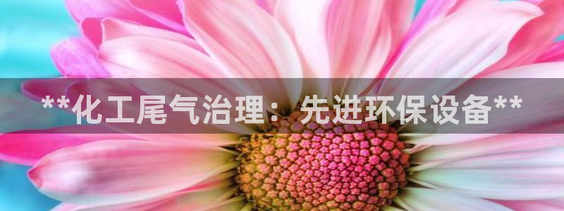 亿万先生网站：**化工尾气治理：先进环保设备**