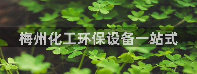 亿万先生mr01官网 - 亿万先生手机版入：梅州化工环保设备一站式
