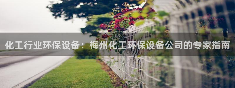 亿万先生mr：化工行业环保设备：梅州化工环保设备公司的专家指南