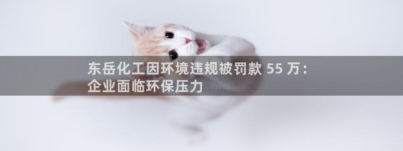 亿万先生客服：东岳化工因环境违规被罚款 55 万：
企业面临环保压力