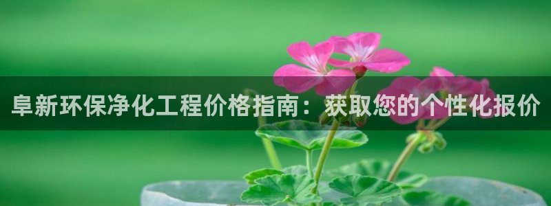 亿万先生客户端官网：阜新环保净化工程价格指南：获取您的个性化报价