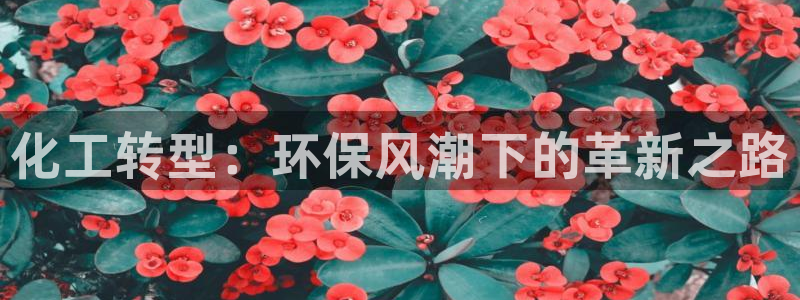 亿万财富网：化工转型：环保风潮下的革新之路