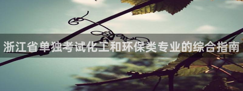 亿万国际：浙江省单独考试化工和环保类专业的综合指南