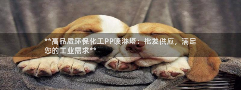 亿万先生官方客服：**高品质环保化工PP喷淋塔：批发供应，满足
您的工业需求**