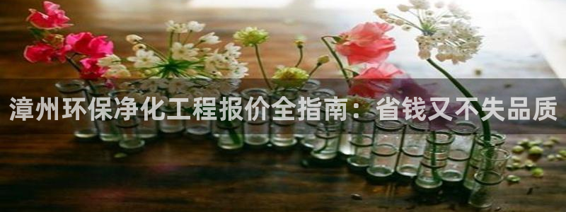 亿万先生网页版：漳州环保净化工程报价全指南：省钱又不失品质