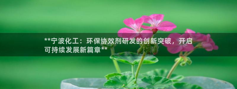 亿万网友在线实时为你解答：**宁波化工：环保协效剂研发的创新突破，开启
可持续发展新篇章**