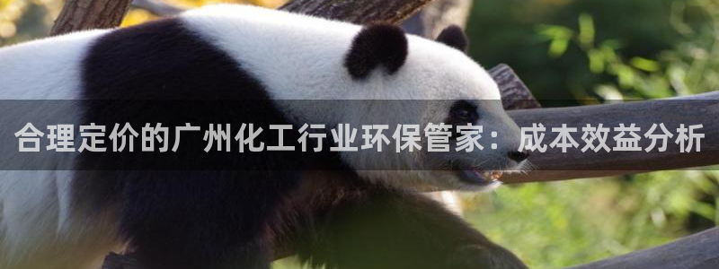 亿万剧情详解：合理定价的广州化工行业环保管家：成本效益分析