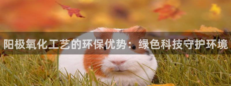 亿万下载第三季：阳极氧化工艺的环保优势：绿色科技守护环境