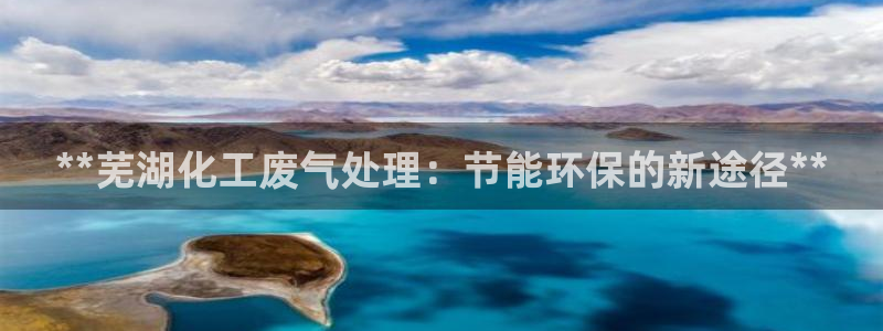 亿万先生：**芜湖化工废气处理：节能环保的新途径**