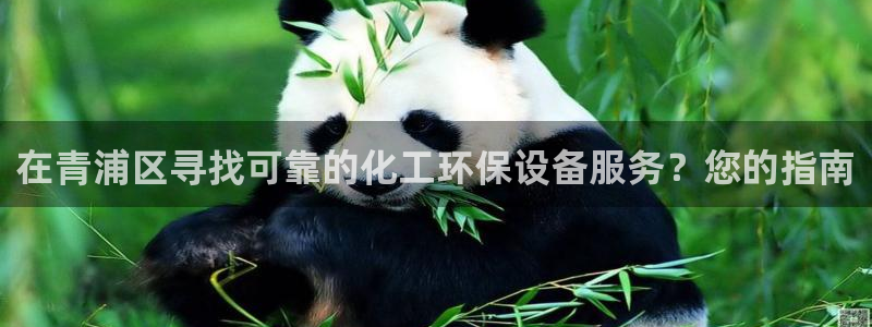亿万个世界 科幻简介：在青浦区寻找可靠的化工环保设备服务？您的指南