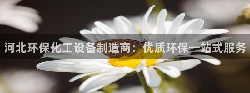 亿万先生首页：河北环保化工设备制造商：优质环保一站式服务