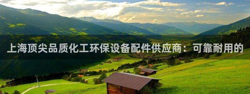 亿万笞人：上海顶尖品质化工环保设备配件供应商：可靠耐用的
