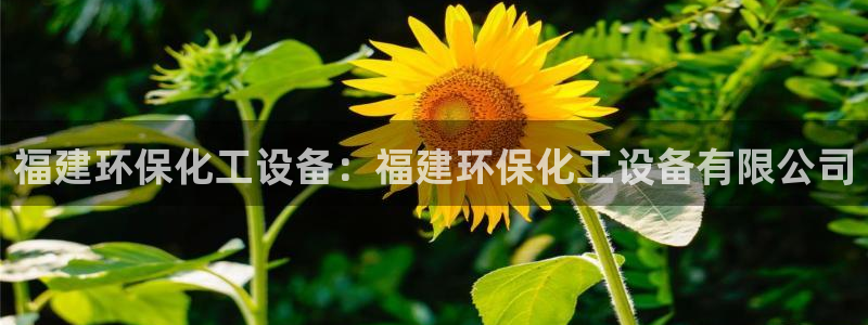 亿万问答：福建环保化工设备：福建环保化工设备有限公司
