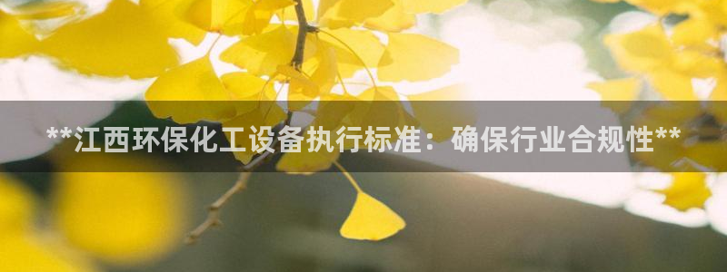 亿万先生mr008：**江西环保化工设备执行标准：确保行业合规性**