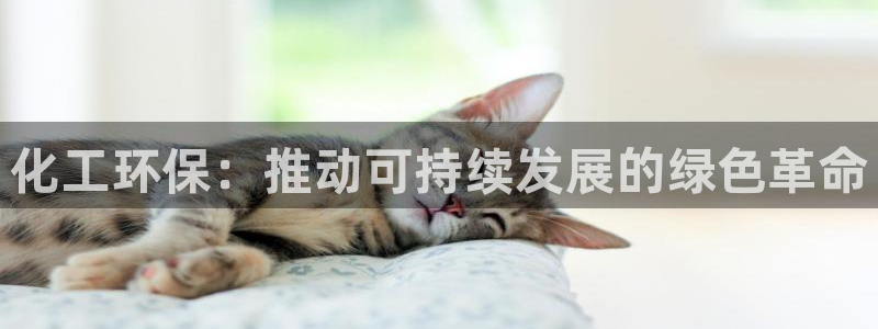 亿万国际app：化工环保：推动可持续发展的绿色革命