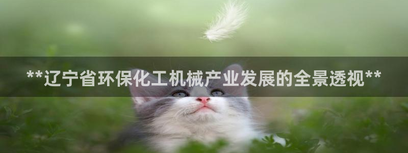 亿万app下载：**辽宁省环保化工机械产业发展的全景透视**