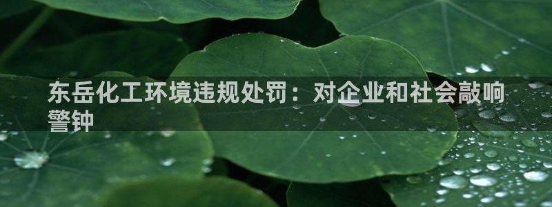 亿万先生首页：东岳化工环境违规处罚：对企业和社会敲响
警钟
