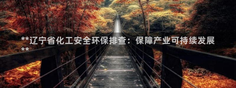 mr001亿万先生：**辽宁省化工安全环保排查：保障产业可持续发展
**