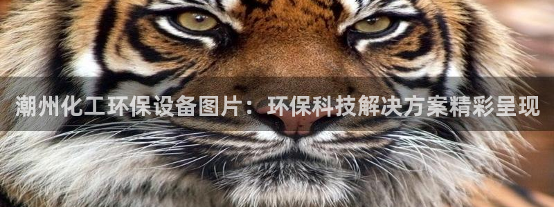 亿万先生官方网站客户端下载安装手机版：潮州化工环保设备图片：环保科技解决方案精彩呈现