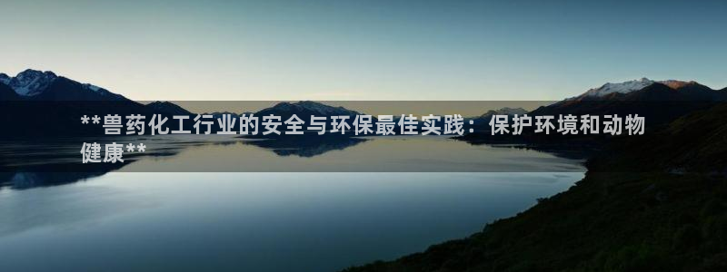 亿万番外：**兽药化工行业的安全与环保最佳实践：保护环境和动物
健康**