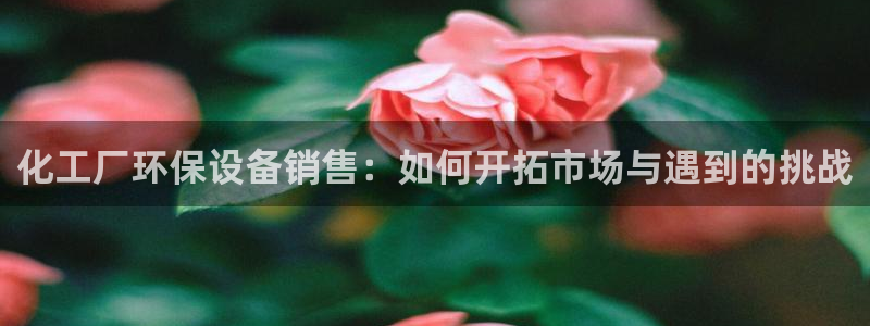 亿万剧情详解：化工厂环保设备销售：如何开拓市场与遇到的挑战